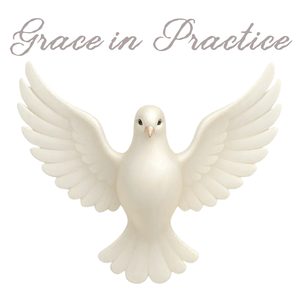 Grace: unmerited favour, kindness & mercy                                        Practice: the actual application or use of an idea, belief or method, as opposed to theories relating to it.